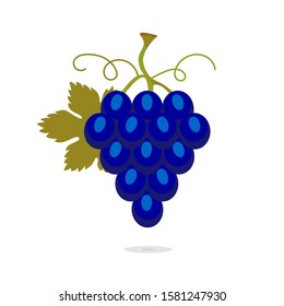 Stock vector illustration with bunch of classic blue grapes with leaf. Sweet fruit isolated on white background. Color of the year 2020. Nature icon for food and drink concept, medical cosmetics