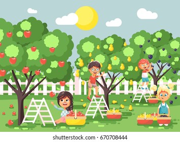 Stock vector illustration cartoon characters children boys and girls harvest ripe fruits autumn orchard garden from plum, pear, apple trees, put crop in full basket landscape scene outdoor flat style