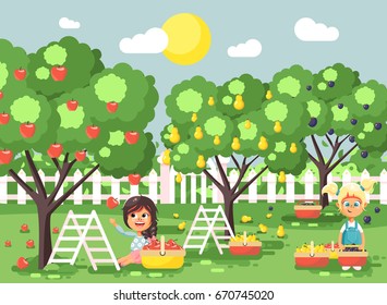 Stock vector illustration cartoon characters children two little girls harvest ripe fruits autumn orchard garden from plum, pear, apple tree, put crop in full basket landscape scene outdoor flat style