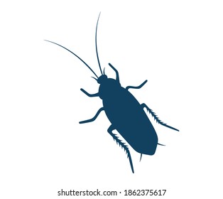 Stock Vector Illustration Of Cockroach Isolated On White Background. Bug Contour Drawing With Details, Realistic Silhouette Of Beetle In Top View,  Icon Flat Graphic Design, Roach Close-up Clip-art