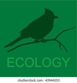 Stock vector illustration ecology green paper with bird