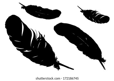 Stock vector illustration of feathers
