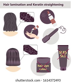 Stock vector illustration of female hair healing result. Infographic of demaged hair lamination and keratin straightening therapy. do not use sls sles shampoo. Structure before and after treatment