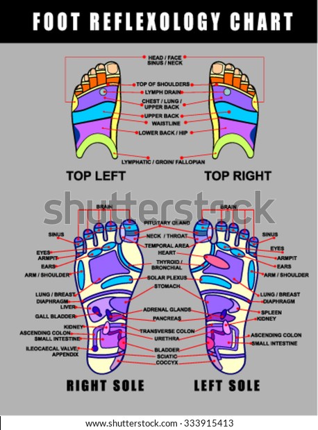 Stock Vector Illustration Foot Reflexology Chart Stock Vector Royalty