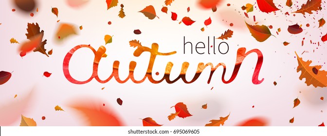 Stock vector illustration Hallo Autumn falling leaves. Autumnal foliage fall and poplar leaf flying in wind motion blur. Autumn design. Templates for placards, banners, flyers, presentations, reports.