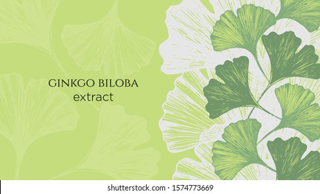 Stock vector illustration with hand drawn  japanese ginkgo biloba leaves. Concept for medical or cosmetics banner. Organic and natural leaves at the right side and copy space on green background