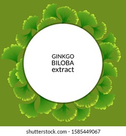 Stock vector illustration with hand drawn  japanese ginkgo biloba leaves frame. Concept for medical or cosmetics banner. Organic and natural green leaves  and copy space on green background