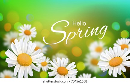 Stock vector illustration Hello, Hi Spring. Realistic chamomiles, blurred defocused background. Macro flowers. Green bokeh. Templates for placards, banners, flyers, presentations, reports. EPS10