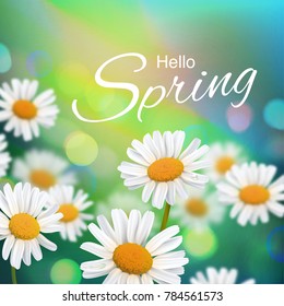 Stock vector illustration Hello, Hi Spring. Realistic chamomiles, blurred defocused background. Macro flowers. Green bokeh. Templates for placards, banners, flyers, presentations, reports. EPS10