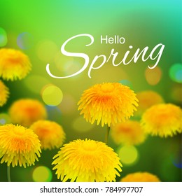 Stock vector illustration Hello, Hi Spring. Realistic dandelion, taraxacum, blurred defocused background. Macro flowers. Green bokeh. Templates for placards, banners, flyers, presentations, reports.