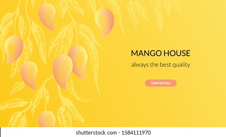 Stock vector illustration with mango fruit banner. Hand drawn fruit illustration with mango tree. Template for ads, website, blog post cafe, restaurant, hotel, market, mango home, yellow background