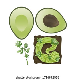 Stock vector illustration. Mexican food. An avocado-guacamole snack is spread on bread, sprinkled with parsley, two halves of avocado and a parsley sprig