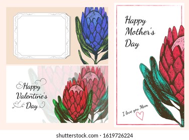 Stock vector illustration for mother's day or valentine's day cards set protea king flower. Spring and summer botanical  template for web site banner or greeting card. 