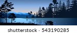 Stock vector illustration of nature backdrop of mountains and lake landscape with silhouette of trees, spruces at night on background of blue sky for brochure, banner, website, printed materials, card