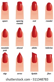 Stock vector illustration on a white background set of nails with nail polish painted red different forms