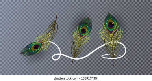 Stock vector illustration peacock feather isolated on a transparent background. EPS 10