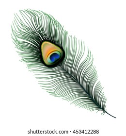 Stock vector illustration Peacock feather isolated on white background. EPS 10