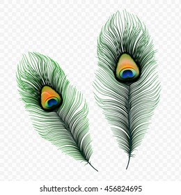 Stock vector illustration peacock feather isolated on a transparent background. EPS 10