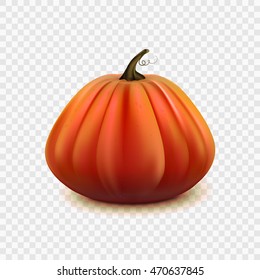 Stock vector illustration pumpkin isolated on a transparent background. EPS 10