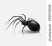 Stock vector illustration realistic black spider. light gray background. EPS 10