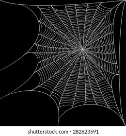 Stock vector illustration realistic cobweb web. Isolated on a black background. EPS 10