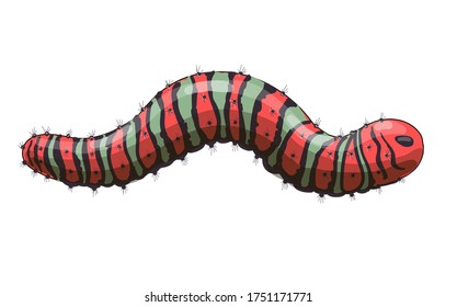 Stock vector illustration. Red caterpillar with green and black stripes and spikes isolated on a white background