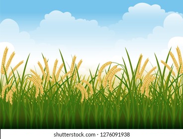 stock vector illustration of rice field, paddy, rural summer landscape. countryside view living concept graphic illustration. cartoon nature concept