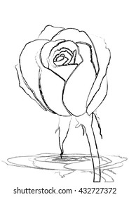 The Stock Vector Illustration rose icon isolated with white