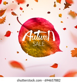 Stock vector illustration sale Autumn falling leaves. Autumnal foliage fall and poplar leaf flying in wind motion blur. Autumn design. Templates for placards, banners, flyers, presentations, reports.