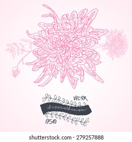 Stock Vector Illustration: set of black and pink isolated vector chrysanthemum flower blossoms. Cool for t-shirts, tattoos and design.