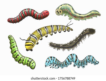 1,542 Caterpillar stock Images, Stock Photos & Vectors | Shutterstock