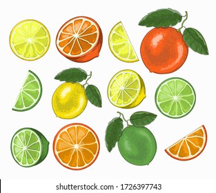 Stock vector illustration. Set of citrus fruits - lemon, lime, orange, they hang on a twig, cut into pieces, circles and slices. Drawing is drawn on a white background