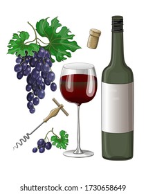 Stock vector illustration. Set. Drawn 2 clusters of blue grapes, a bottle and a glass of red wine, a corkscrew and a cork from wine. Illustration isolated on white background