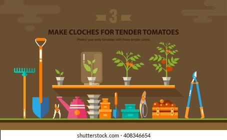 Stock vector illustration set garden tools, seedling tomatoes on the shelf in flat style element for info graphic, website, icon