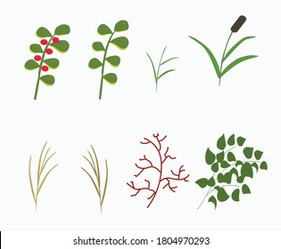 Stock vector illustration a set of twigs isolated on a white background