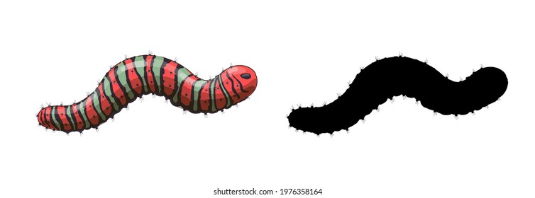 Stock vector illustration. A set of two caterpillars - a red caterpillar with green and black stripes and spikes and its black silhouette isolated on a white background