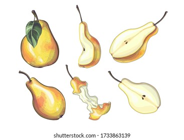 Stock vector illustration. Set of yellow pears - different sizes and shapes of pears, half, slices and a raw pear. Isolated over white background.