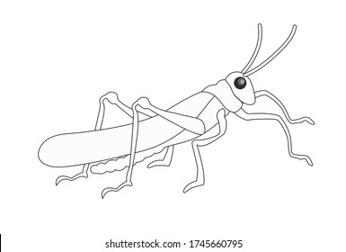 Stock vector illustration. Silhouette of a grasshopper drawn in white color with black outline, isolated on white background