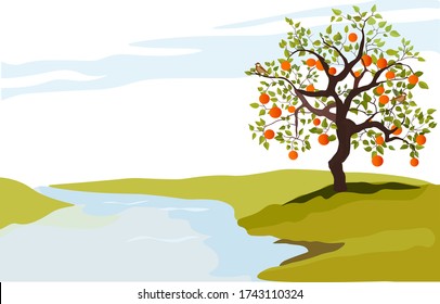 Stock vector illustration of a tree of persimmons for Korean Chuseok holiday. Ripe persimmon on a branch of a persimmon tree. Persimmon yellow orange tree with branches and leaves. Beautiful scenery