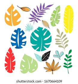 Stock vector illustration with tropical leaves on a white background. Summer collection. Tropical leaves isolated