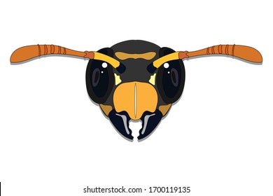Stock vector illustration wasp head icon from front isolated on white background. Design for graphic, logo and web purposes.