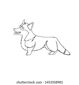 Stock vector illustration welsh corgi for coloring book. Friendly cartoon dog stands on four legs and stuck out his tongue. Design for bag, poster, cloth, pet shop.