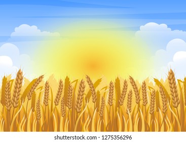 stock vector illustration of wheat field, rural summer landscape with sun. countryside view living concept graphic illustration. cartoon nature concept