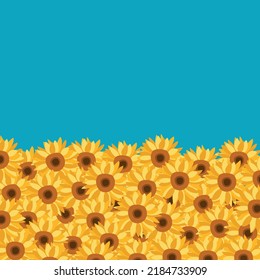 stock vector illustration. yellow sunflower field and a blue sky. design in Ukraine flag colors