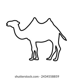 Stock vector image of a camel animal with a seat on its back