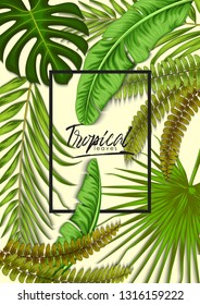 stock vector of invitation card template design with summer exotic tropical leaves in white background illustration