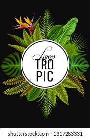 stock vector of invitation card template design with summer exotic tropical leaves in black background illustration