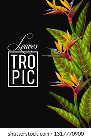 stock vector of invitation card template design with summer exotic tropical leaves in black background illustration