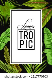 stock vector of invitation card template design with summer exotic tropical leaves in black background illustration