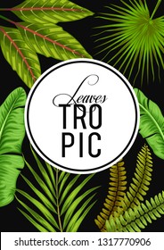 stock vector of invitation card template design with summer exotic tropical leaves in black background illustration